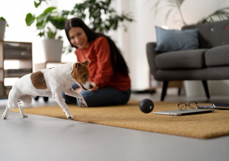 Pet-Friendly Living: Essential Home Maintenance For Pet Owners