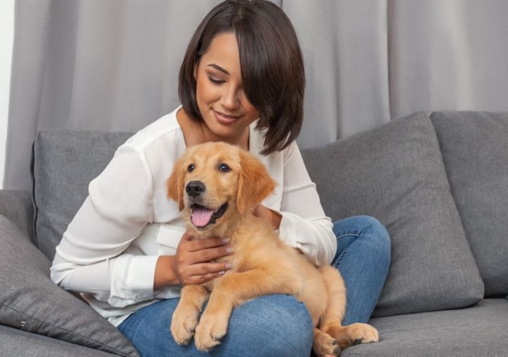 Simple Ways To Enrich Your Dog’s Life