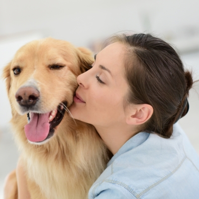 Comfort+stop+cuddles