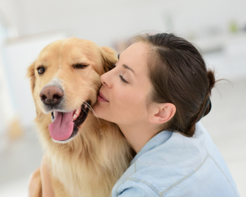 Comfort+stop+cuddles